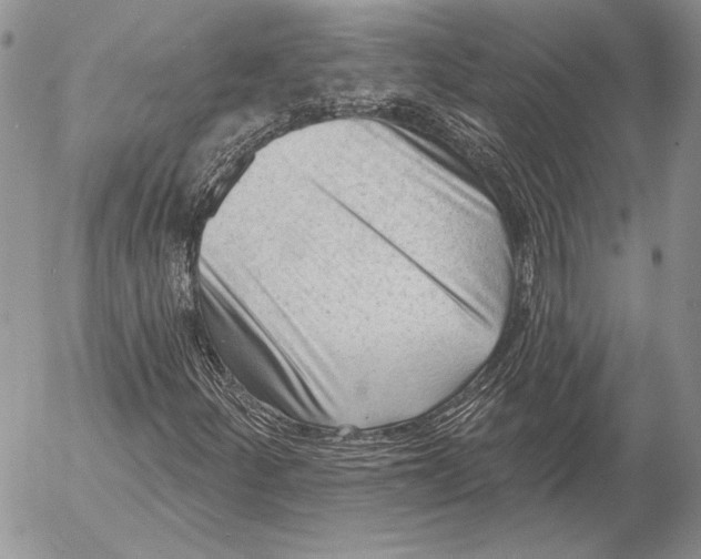 X0000053021252200507291724