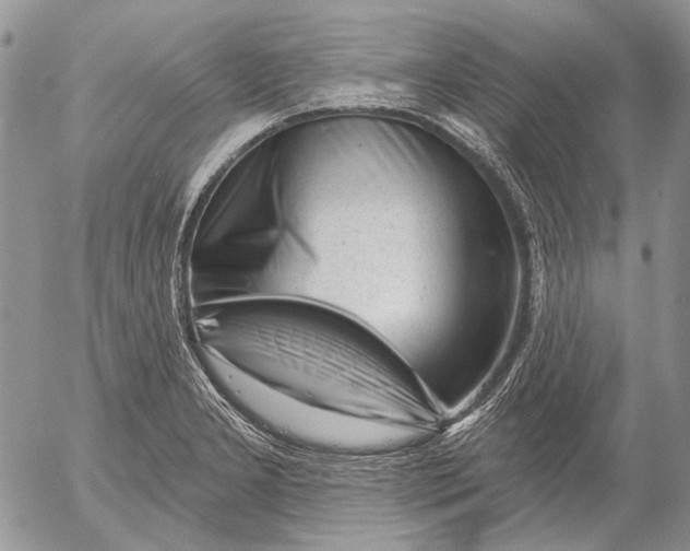 X0000053021277200507291724