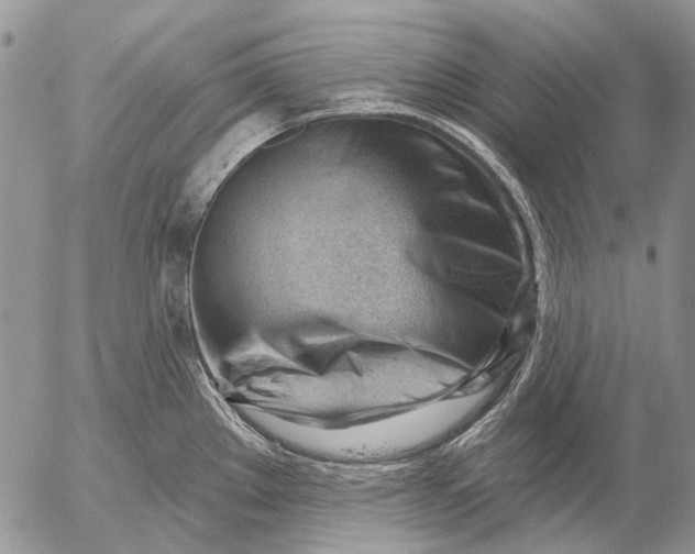 X0000053021289200507291724