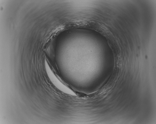 X0000053021298200507291723