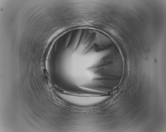 X0000053021308200507291723