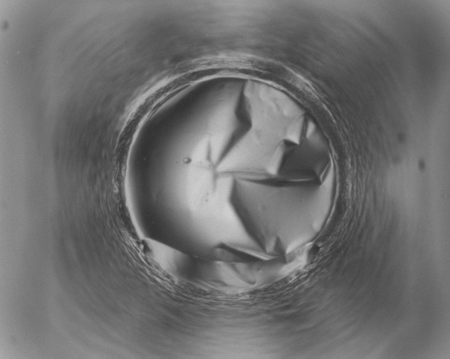 X0000053021312200507291723