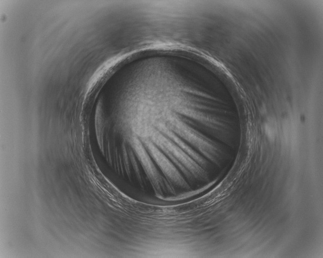 X0000053021319200507291723