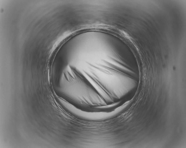 X0000053021320200507291723