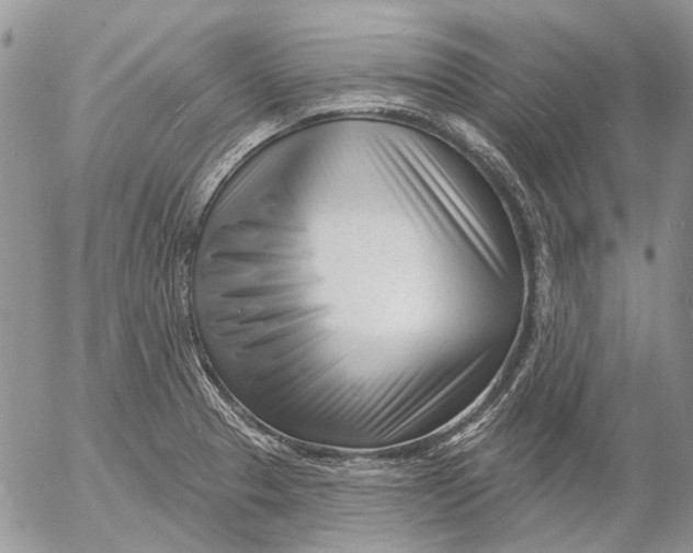 X0000053021329200507291723