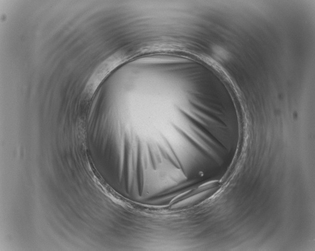 X0000053021337200507291723