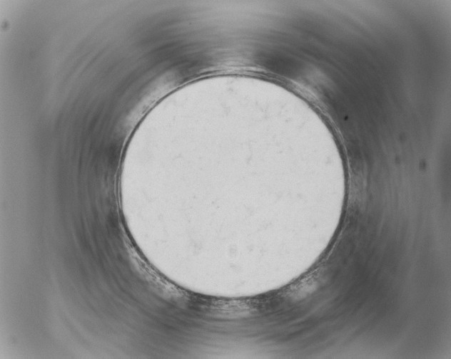 X0000053021338200507291723