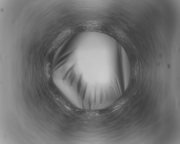 X0000053021346200507291723