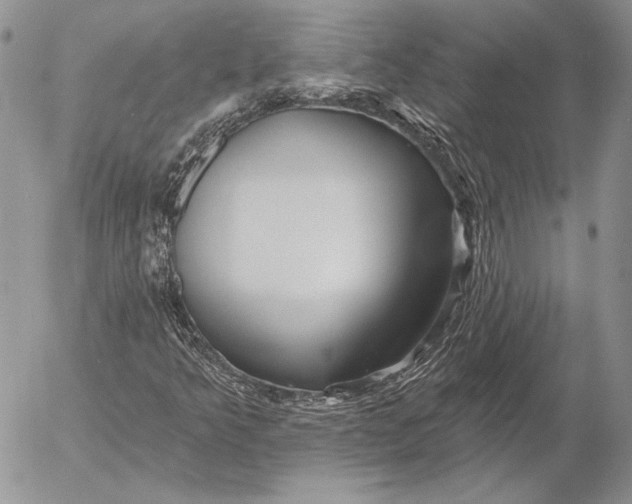 X0000053021349200507291723