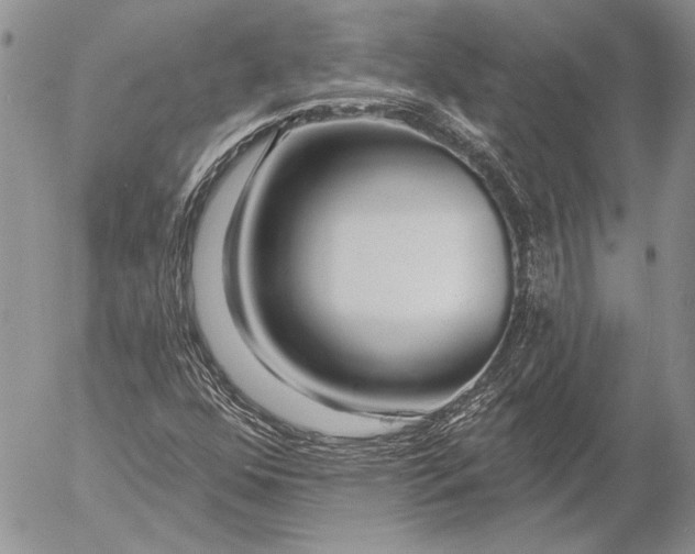 X0000053021352200507291723