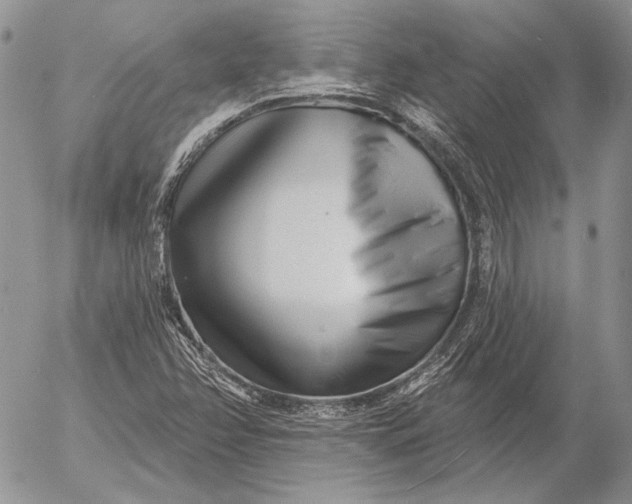 X0000053021358200507291723