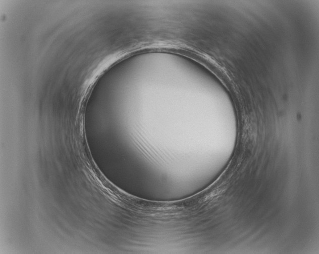 X0000053021367200507291722