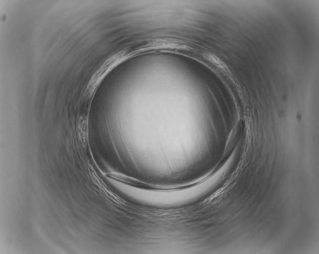 X0000053021369200507291722