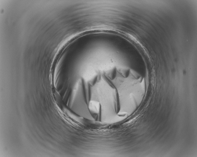 X0000053021372200507291722