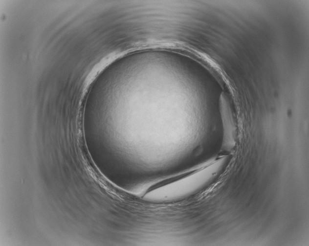 X0000053021373200507291722
