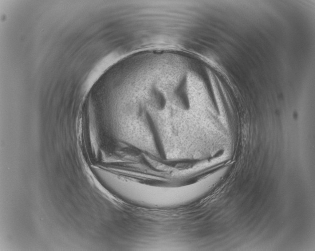X0000053021383200507291722