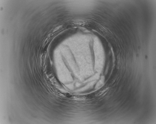X0000053021394200507291721