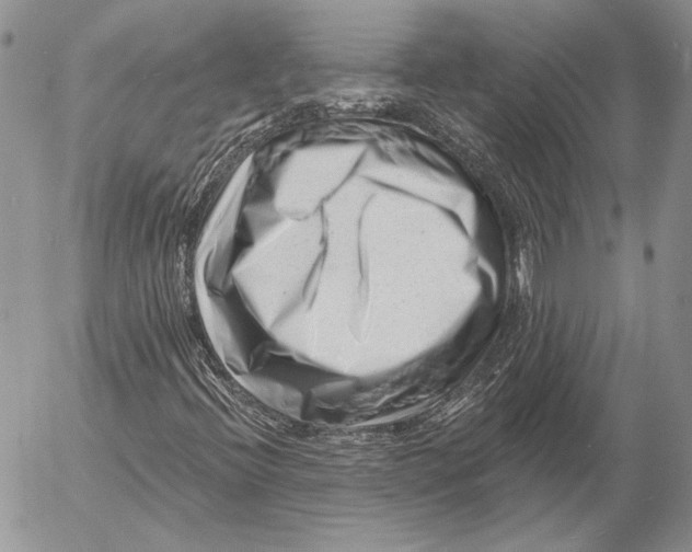 X0000053021396200507291721
