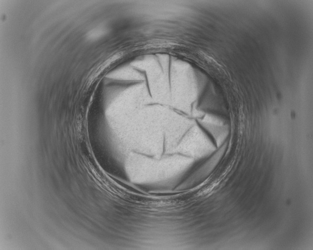 X0000053021401200507291721