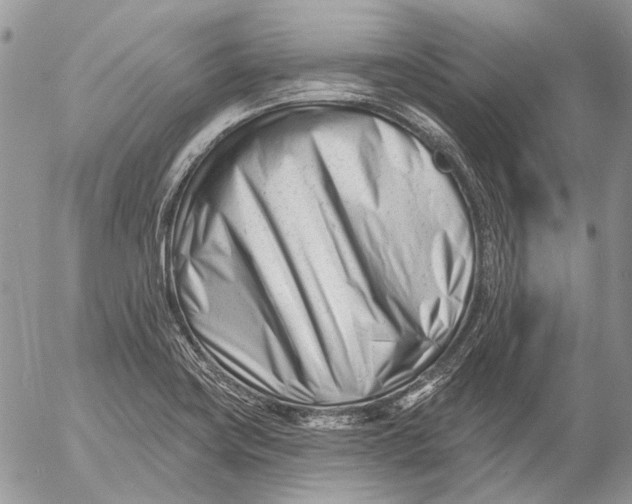 X0000053021419200507291722