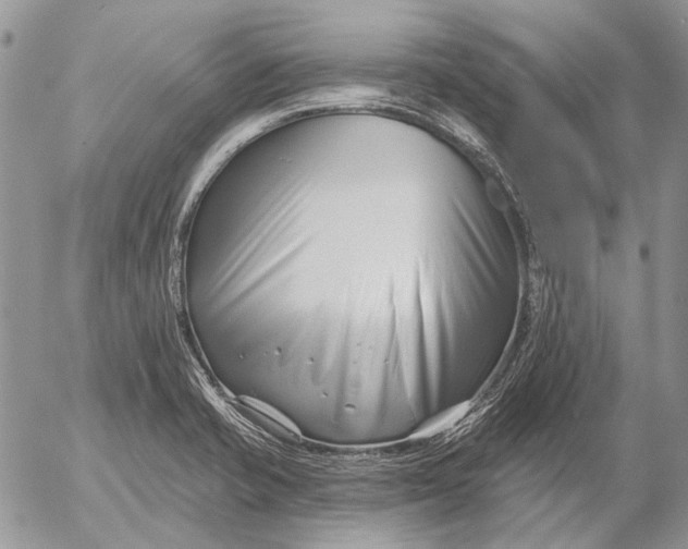 X0000053021421200507291722