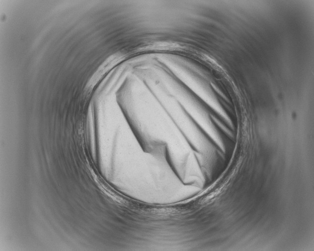 X0000053021425200507291722