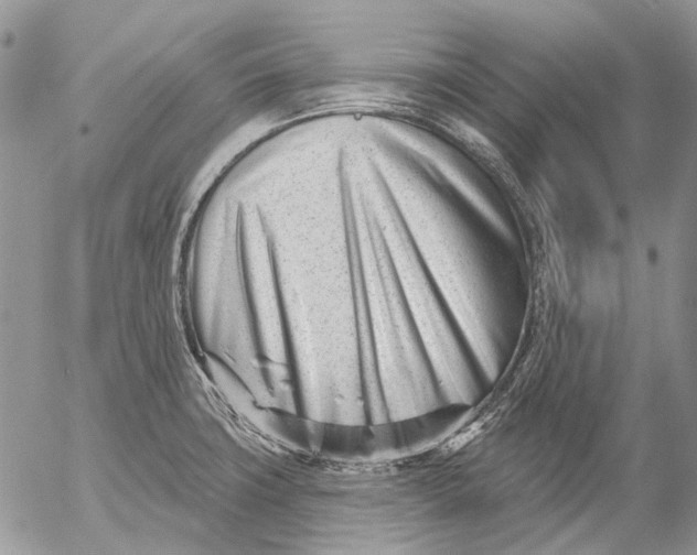 X0000053021427200507291722