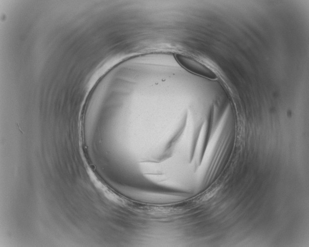 X0000053021439200507291722