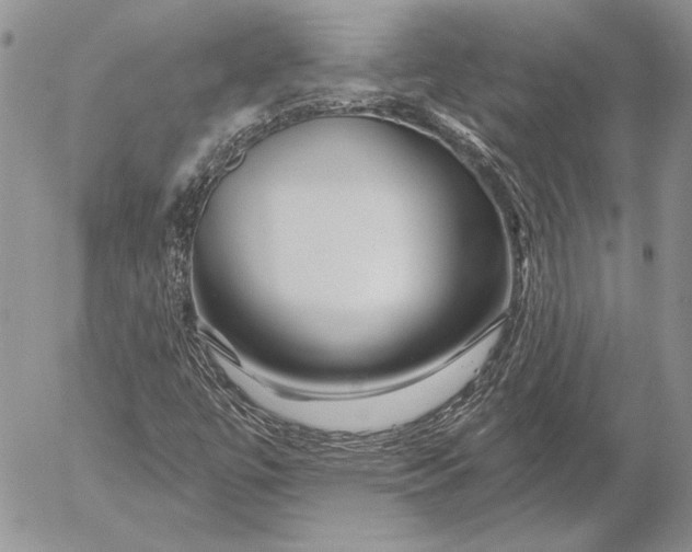 X0000053021447200507291721