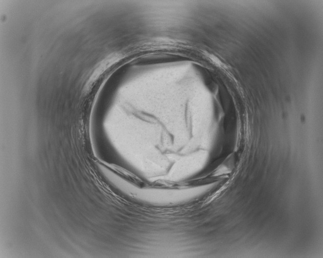 X0000053021453200507291721