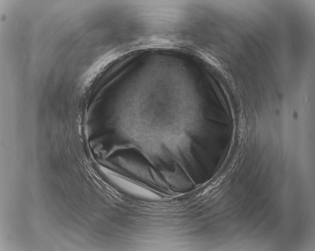 X0000053021455200507291721