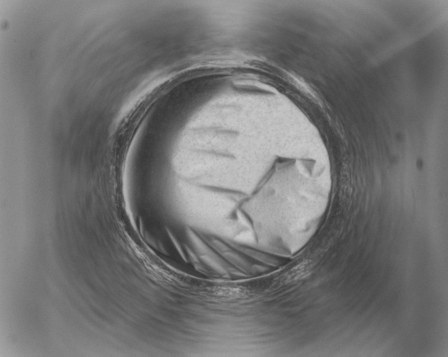 X0000053021456200507291721