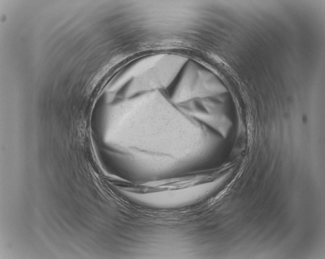 X0000053021457200507291721