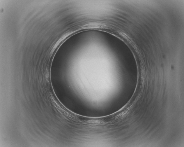 X0000053021465200507291721