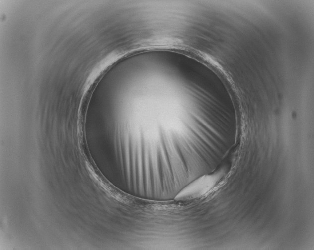 X0000053021469200507291721