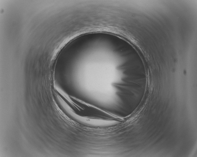 X0000053021500200507291720