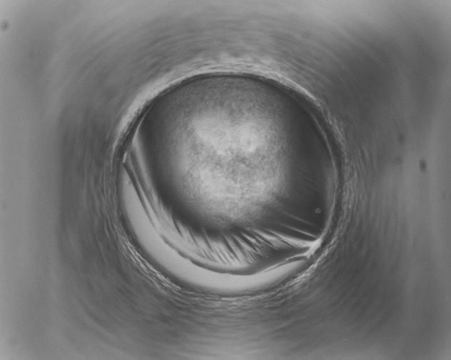 X0000053021506200507291720