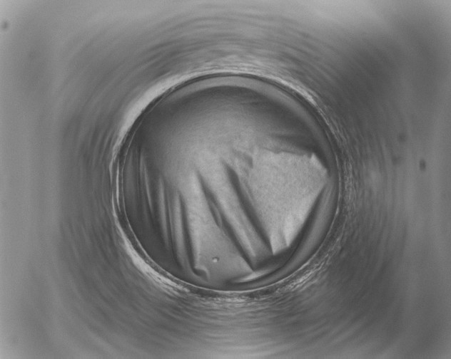 X0000053021515200507291720