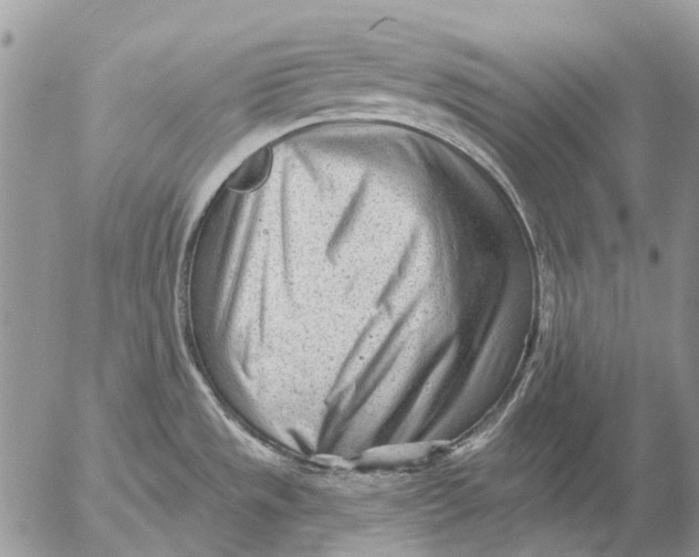 X0000053021533200507291720