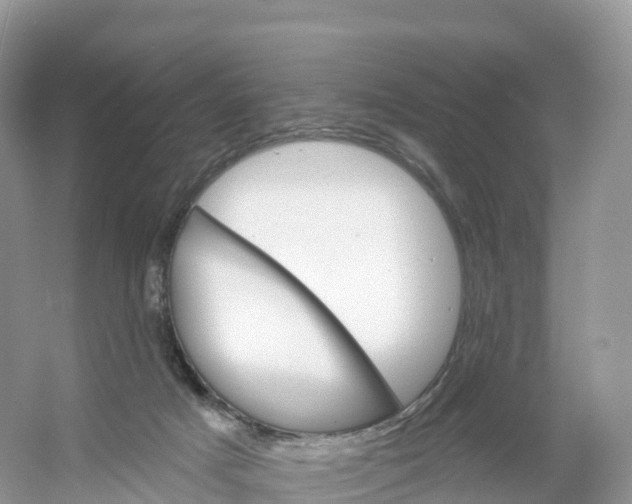 X0000053020025200508051238