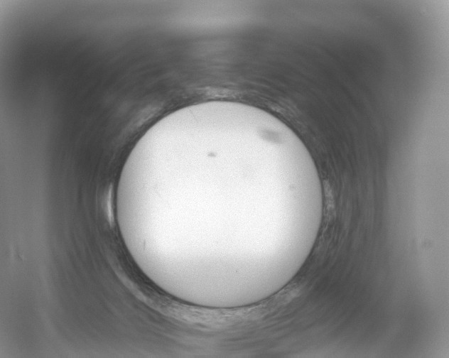 X0000053020028200508051238