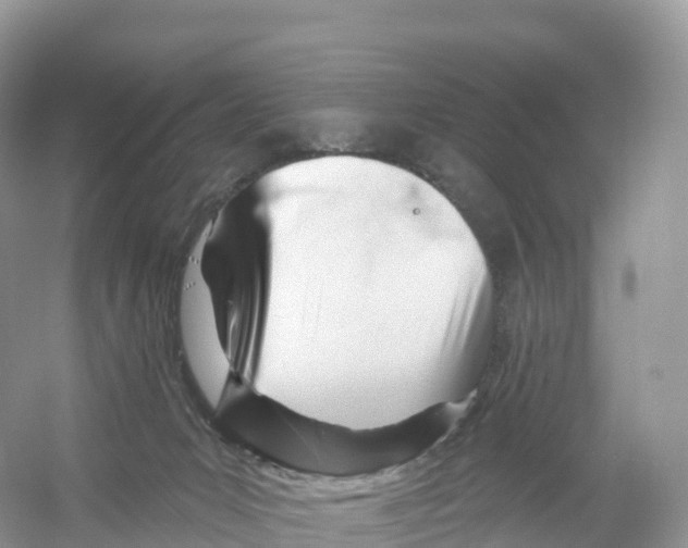 X0000053020031200508051238