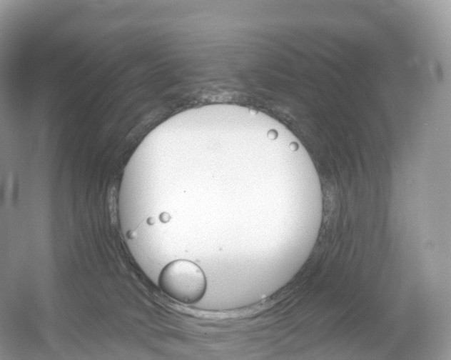 X0000053020034200508051238