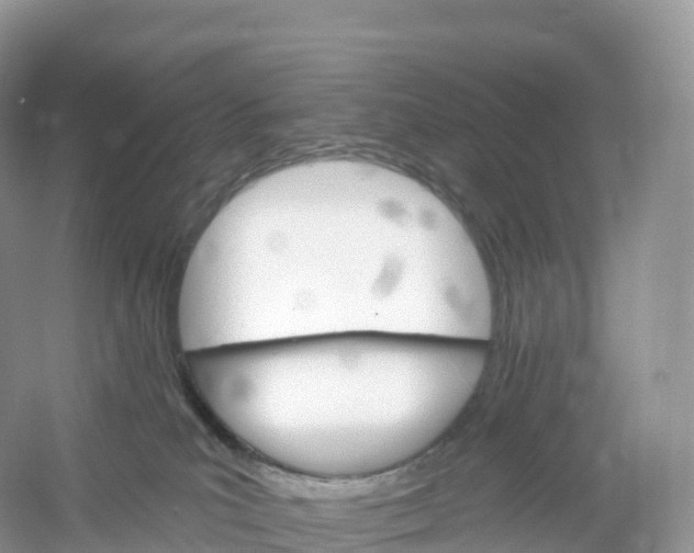 X0000053020039200508051238