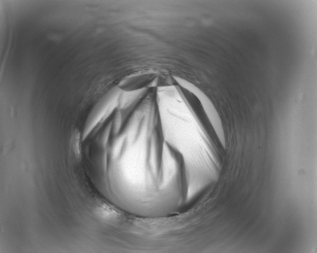 X0000053020041200508051238