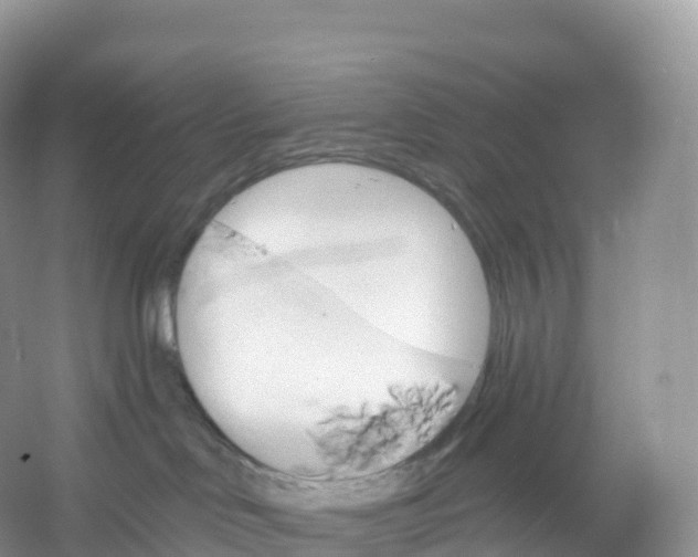 X0000053020046200508051238