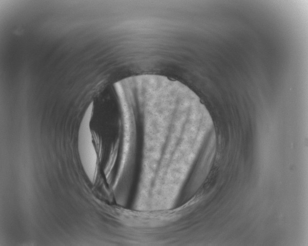 X0000053020048200508051238