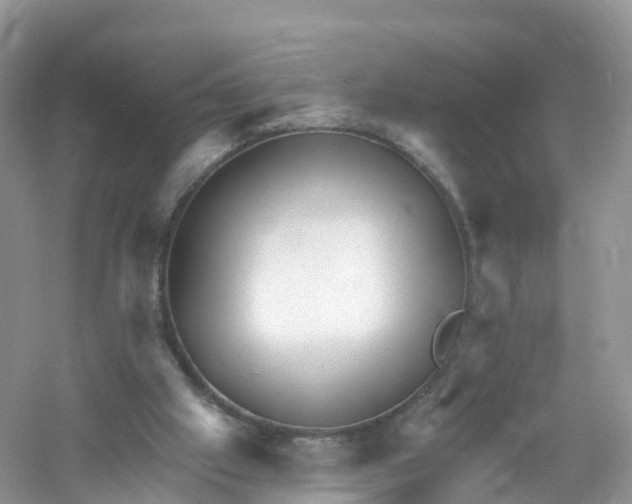 X0000053020057200508051237