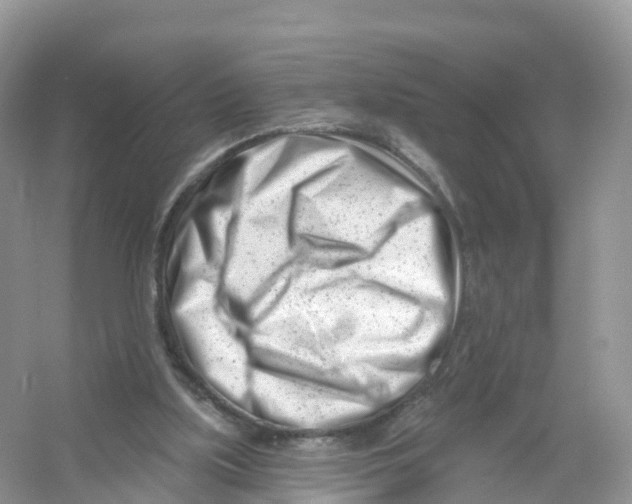 X0000053020059200508051237