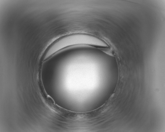 X0000053020060200508051237